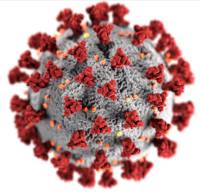 covid19-virus.jpg